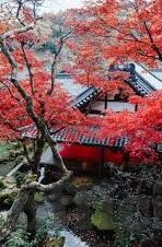闲聊群怎么玩炸金花-闲聊群中的炸金花，一种轻松娱乐的社交方式